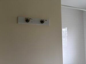 imgi_59_C78CF189-5343-43B3-B4D5-8AA99FCC85E3-300x225.jpg